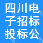 四川电子招标投标公共服务平台