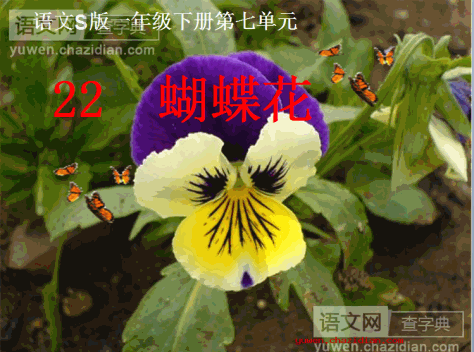 蝴蝶花教案课件