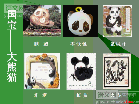 苏教版语文课件初一第二册国宝大熊猫