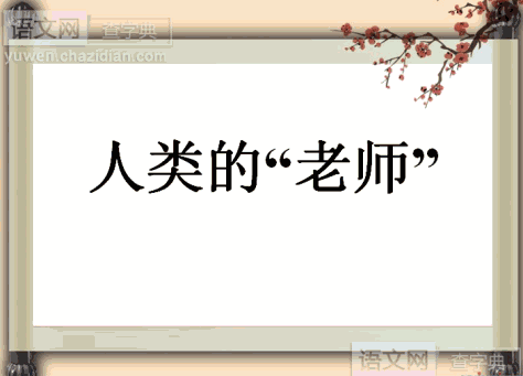 人类的“老师”PPT