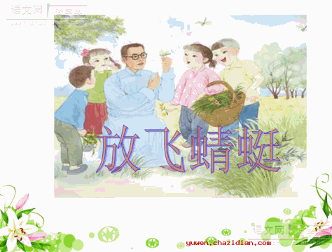 放飞蜻蜓swf视频课件