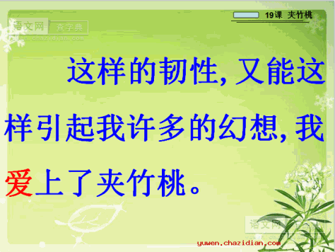 苏教版小学六年级下册《夹竹桃》课件