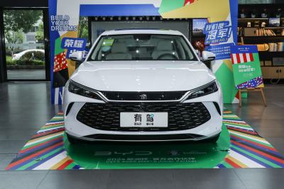 2024款 DM-i 120KM领先型-外观-图片-有驾