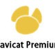 Navicat Premium