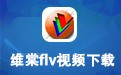 维棠视频下载器 3.0.1