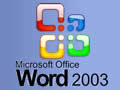 Microsoft Office Word2003 官方免费版