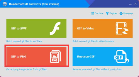 ThunderSoft GIF Converter