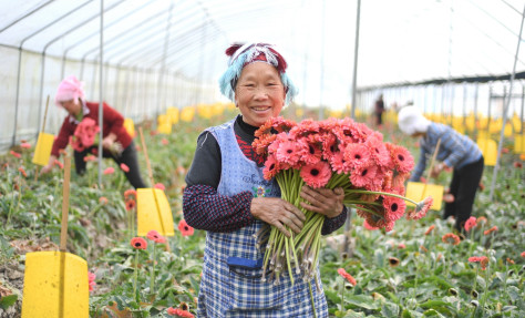 贵州凯里：“芬芳产业”铺就幸福路