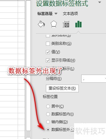 图表数据标签没有数据标签外选项是怎么回事？