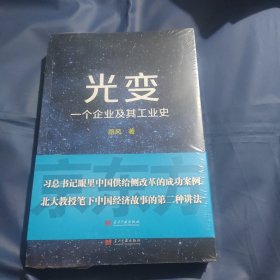 光变：一个企业及其工业史