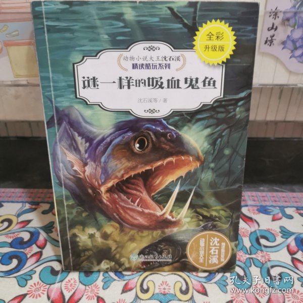 动物小说大王沈石溪·精读酷玩系列（全彩升级版）：谜一样的吸血鬼鱼