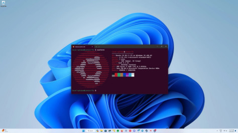微软升级 Win11 Linux 子系统 ：图形界面下配置 WSL 子系统