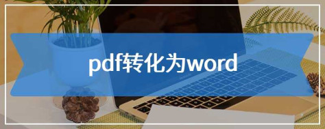 pdf转化为word