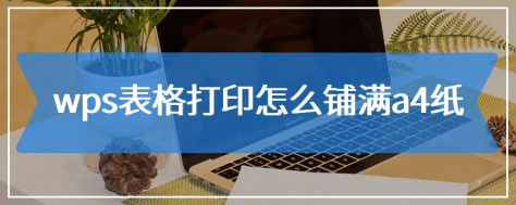 wps表格打印怎么铺满a4纸