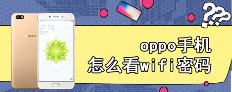 oppo手机怎么看wifi密码