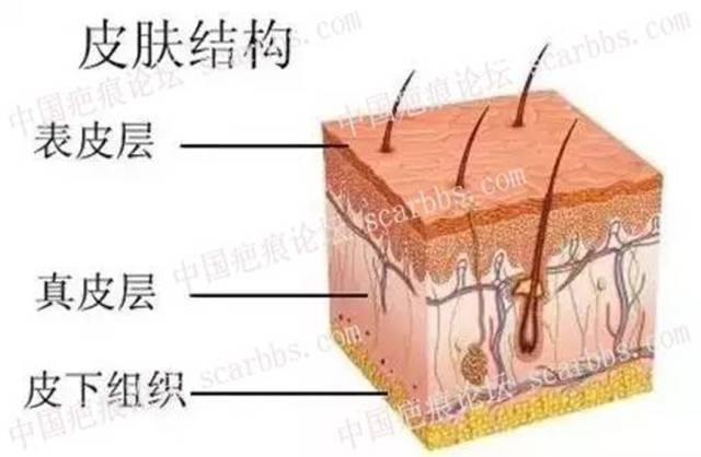 任家萱烧伤前后对比[tag]