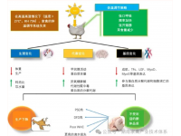 高温天气禽场安全生产指导意见