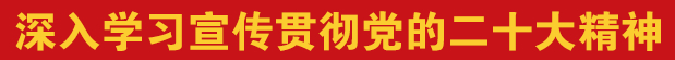 深入学习宣传贯彻党的二十大精神