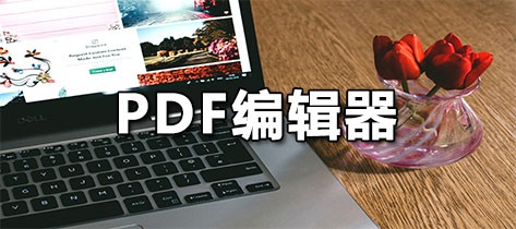 PDF编辑器