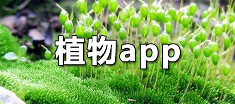 植物app