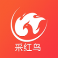 采红鸟下载官网app