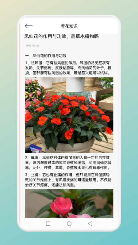 花儿爱消消截图(3)