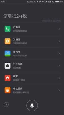 语音识别设置截图(2)