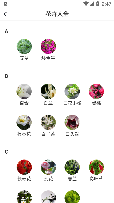 即有花截图(3)