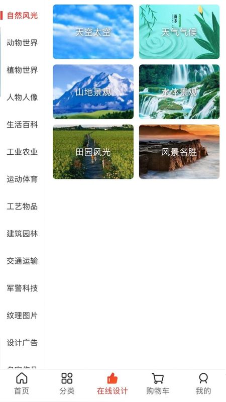 图王网截图(1)