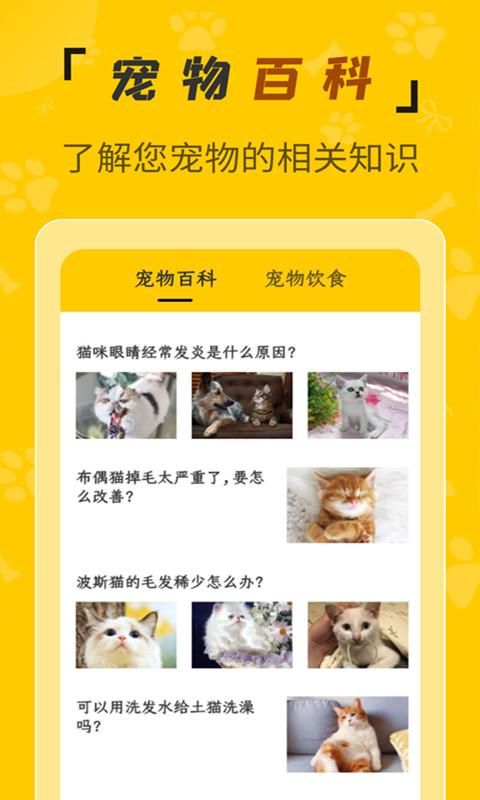人猫翻译机截图(2)