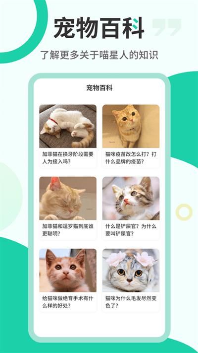 猫叫翻译机截图(3)