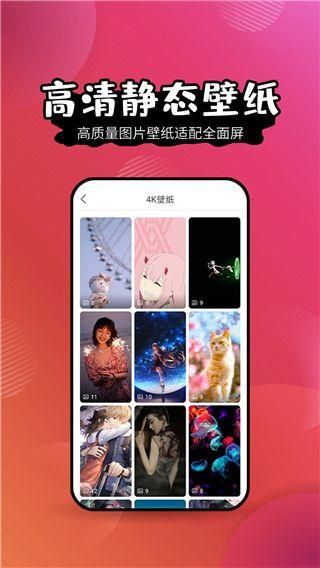 壁纸精灵最新下载破解版截图(3)