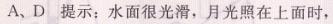 人教版八年级上册物理第四章本章复习方略同步解析与测评答案1