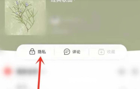 网易云音乐把单个歌单变成私密怎么弄