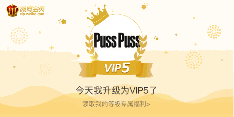 今天我升级为VIP5了