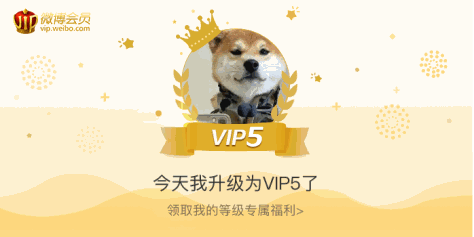 今天我升级为VIP5了