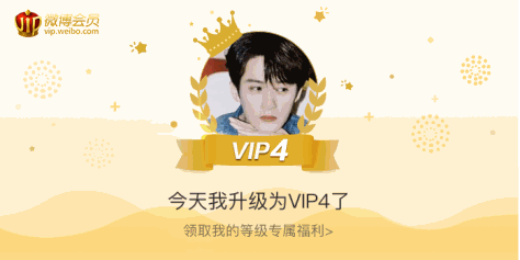 今天我升级为VIP4了