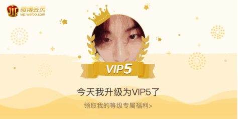 今天我升级为VIP5了