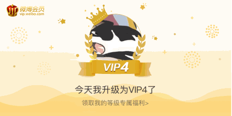 今天我升级为VIP4了