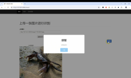 海洋生物识别系统+图像识别+Python+人工智能课设+深度学习+卷积神经网络算法+TensorFlow