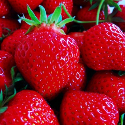 草莓微信头像高清图片，酸甜诱人的草莓我最爱吃了