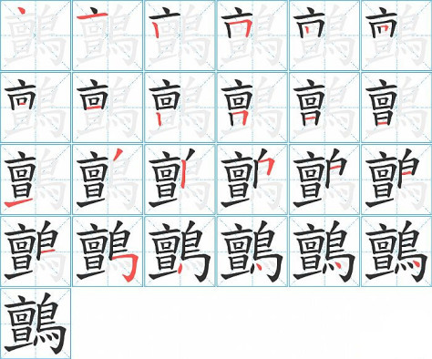 鸇的笔顺分步演示图