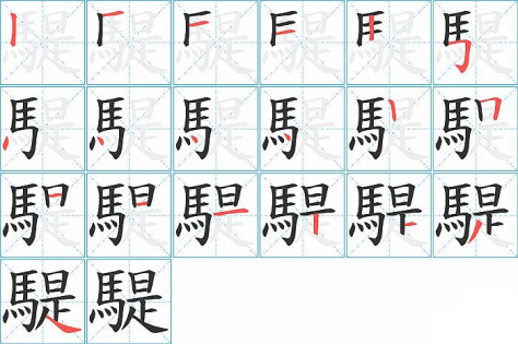 騠的笔顺分步演示图