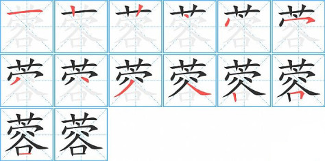 蓉的笔顺分步演示图