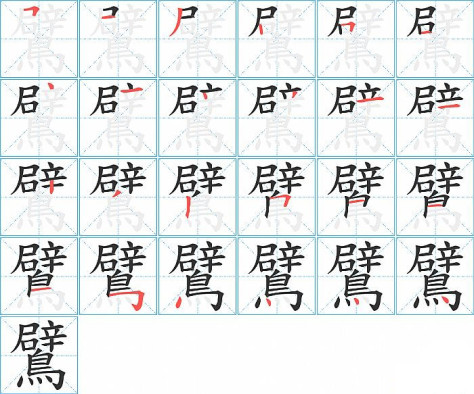 鷿的笔顺分步演示图