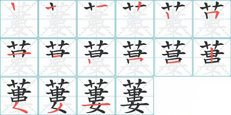 蔞的笔顺分步演示图