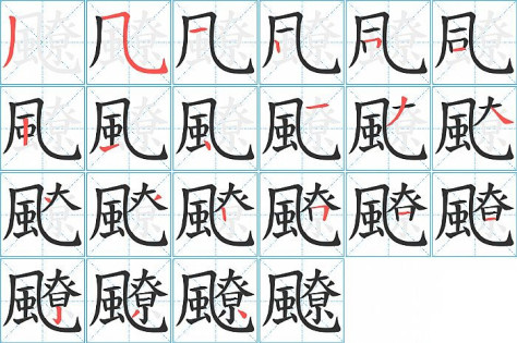 飉的笔顺分步演示图