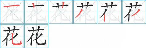 花的笔顺分步演示图
