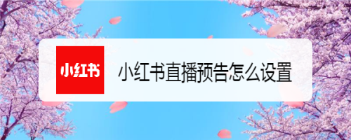 小红书怎么发布直播预告