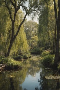 湿地公园自然风景图片壁纸